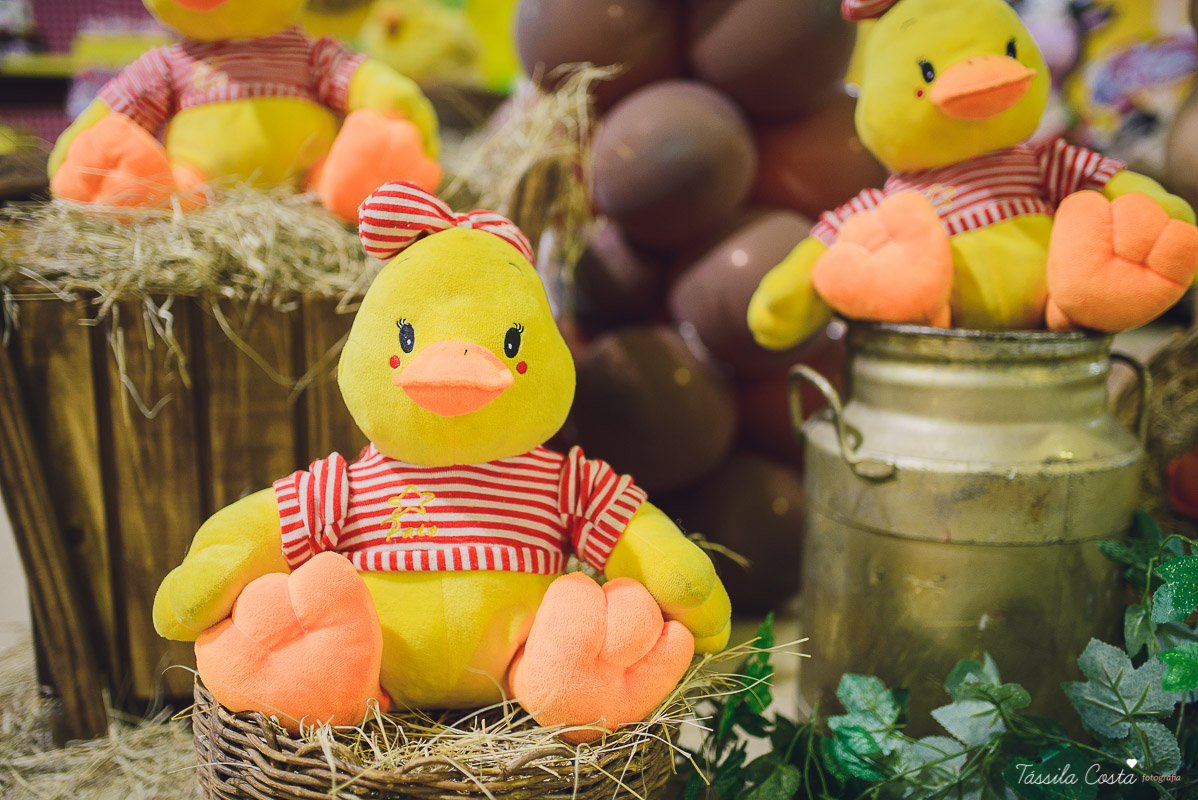 fotografo em vila velha, fotografo em vitoria, fotografo de festa infantil em vitoria es, tassila costa, tassila costa fotografia, tassila costa fotografa, tassila foto, fotografia, vila velha, vitoria, vix, es, aniversario, aniversario infantil, festa in