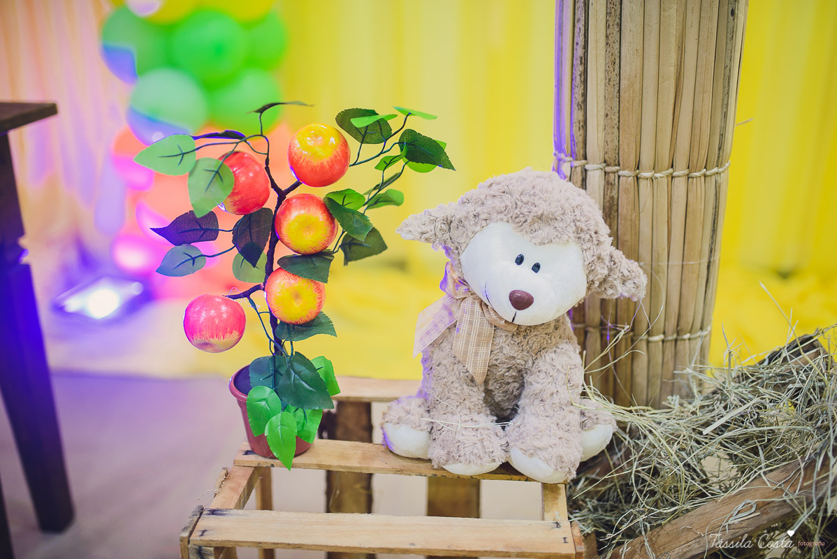 fotografo em vila velha, fotografo em vitoria, fotografo de festa infantil em vitoria es, tassila costa, tassila costa fotografia, tassila costa fotografa, tassila foto, fotografia, vila velha, vitoria, vix, es, aniversario, aniversario infantil, festa in