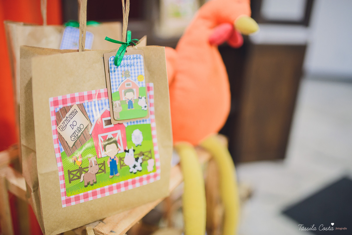 fotografo em vila velha, fotografo em vitoria, fotografo de festa infantil em vitoria es, tassila costa, tassila costa fotografia, tassila costa fotografa, tassila foto, fotografia, vila velha, vitoria, vix, es, aniversario, aniversario infantil, festa in