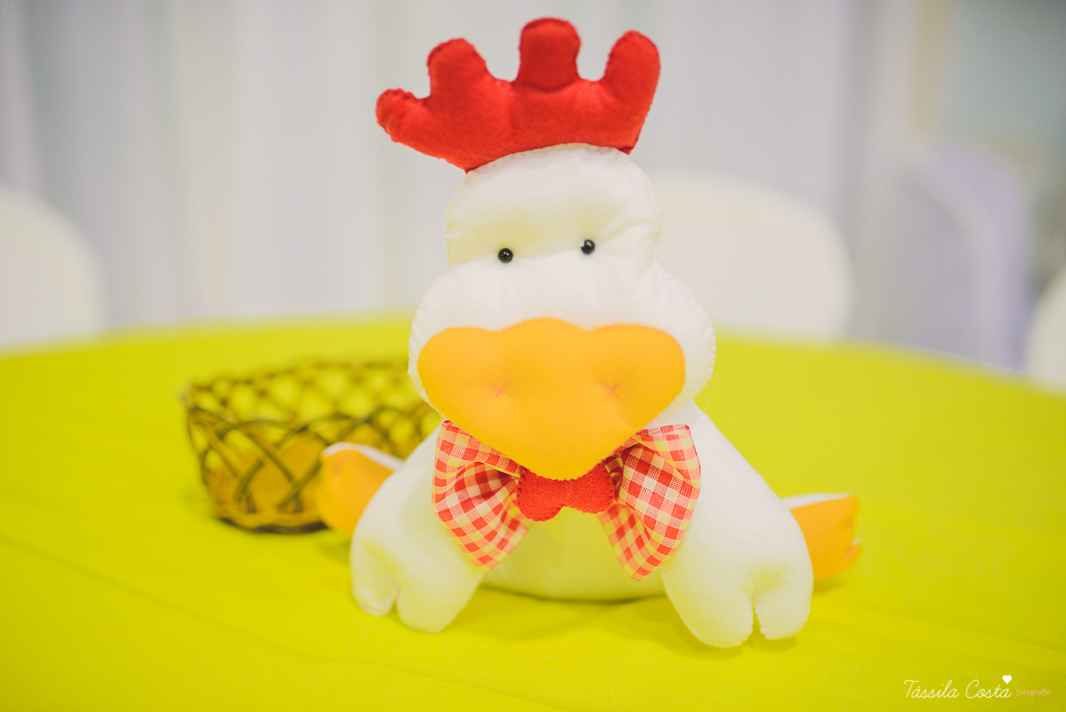 fotografo em vila velha, fotografo em vitoria, fotografo de festa infantil em vitoria es, tassila costa, tassila costa fotografia, tassila costa fotografa, tassila foto, fotografia, vila velha, vitoria, vix, es, aniversario, aniversario infantil, festa in