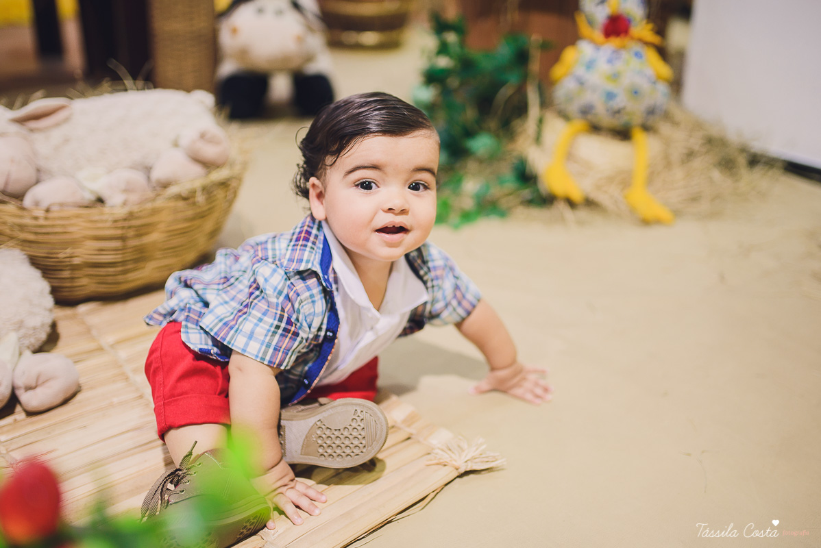 fotografo em vila velha, fotografo em vitoria, fotografo de festa infantil em vitoria es, tassila costa, tassila costa fotografia, tassila costa fotografa, tassila foto, fotografia, vila velha, vitoria, vix, es, aniversario, aniversario infantil, festa in