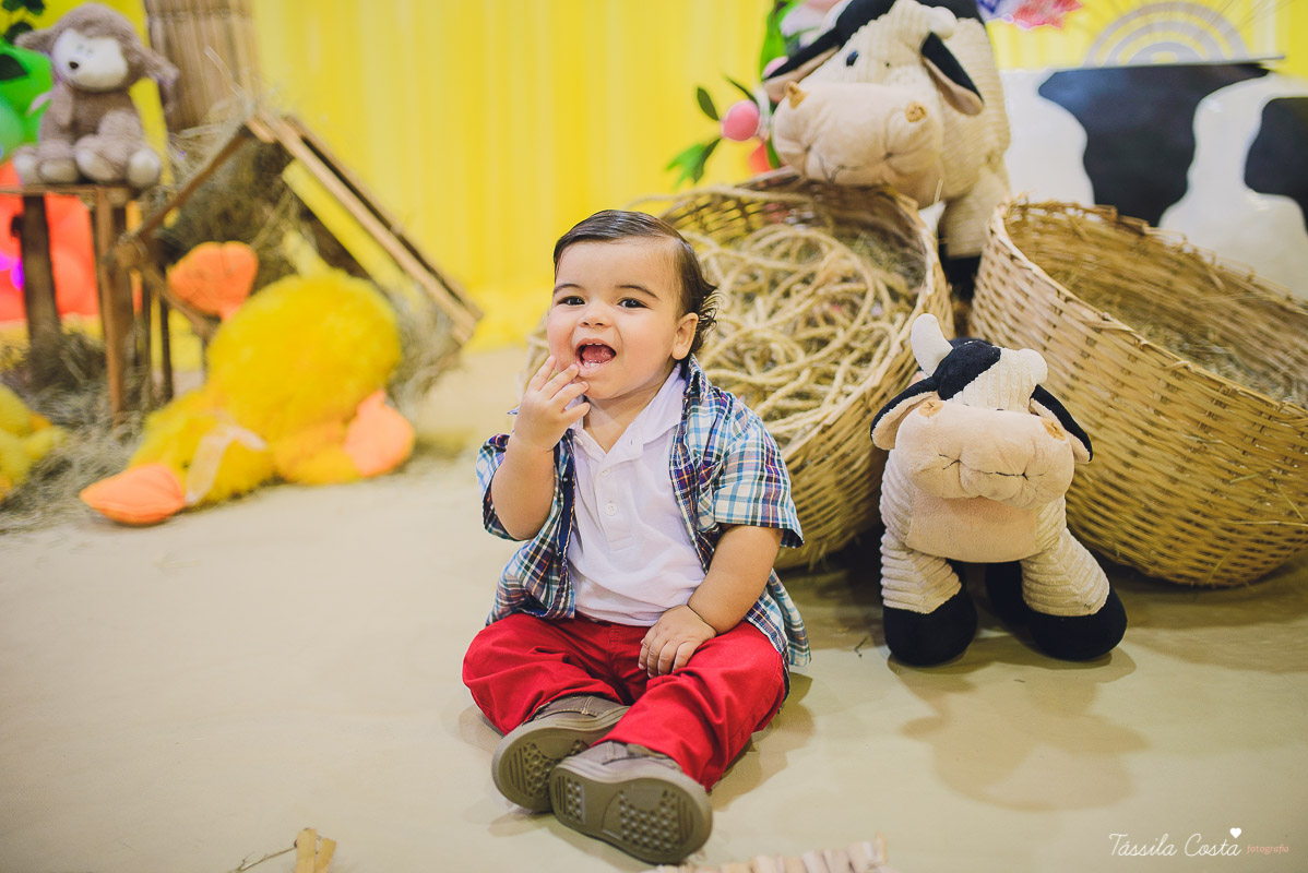 fotografo em vila velha, fotografo em vitoria, fotografo de festa infantil em vitoria es, tassila costa, tassila costa fotografia, tassila costa fotografa, tassila foto, fotografia, vila velha, vitoria, vix, es, aniversario, aniversario infantil, festa in