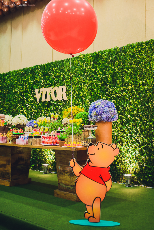 fotografo em vila velha, fotografo em vitoria, fotografo de festa infantil em vitoria es, tassila costa, tassila costa fotografia, tassila costa fotografa, tassila foto, fotografia, vila velha, vitoria, vix, es, aniversario, aniversario infantil, festa in