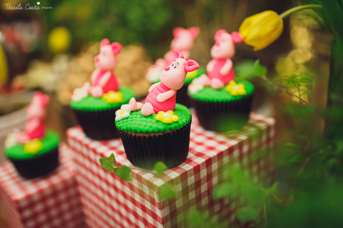 fotografo em vila velha, fotografo em vitoria, fotografo de festa infantil em vitoria es, tassila costa, tassila costa fotografia, tassila costa fotografa, tassila foto, fotografia, vila velha, vitoria, vix, es, aniversario, aniversario infantil, festa in