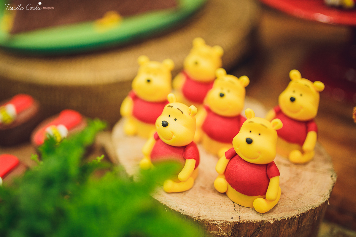 fotografo em vila velha, fotografo em vitoria, fotografo de festa infantil em vitoria es, tassila costa, tassila costa fotografia, tassila costa fotografa, tassila foto, fotografia, vila velha, vitoria, vix, es, aniversario, aniversario infantil, festa in