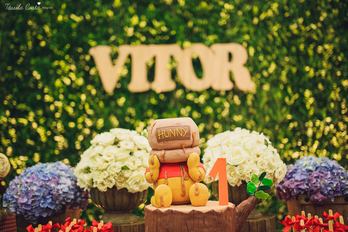 fotografo em vila velha, fotografo em vitoria, fotografo de festa infantil em vitoria es, tassila costa, tassila costa fotografia, tassila costa fotografa, tassila foto, fotografia, vila velha, vitoria, vix, es, aniversario, aniversario infantil, festa in