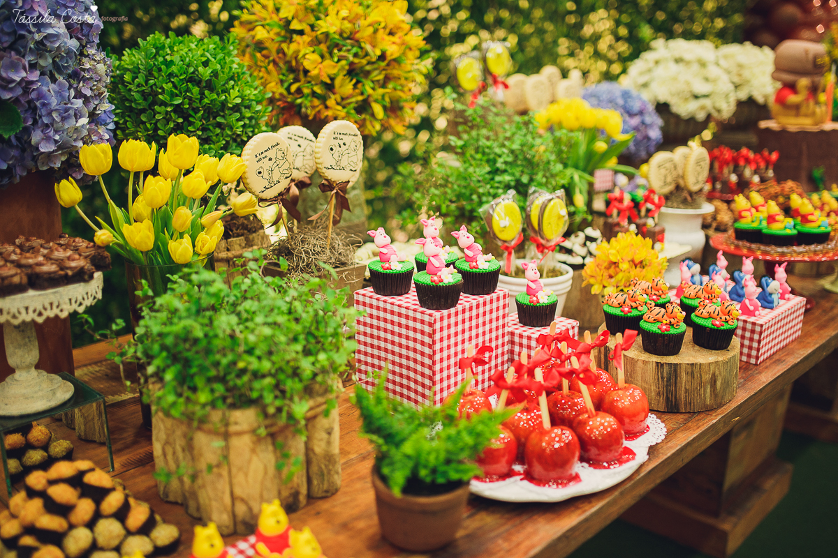 fotografo em vila velha, fotografo em vitoria, fotografo de festa infantil em vitoria es, tassila costa, tassila costa fotografia, tassila costa fotografa, tassila foto, fotografia, vila velha, vitoria, vix, es, aniversario, aniversario infantil, festa in