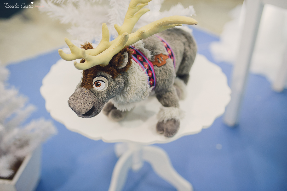 decoração no tema frozen, festa de 4 anos da Pietra, no cerimonial Pirlim Pim Pim, na pracinha de Jardim da Penha, festa de menina de 04 anos, tássila costa fotografia, festa de menina, vix es