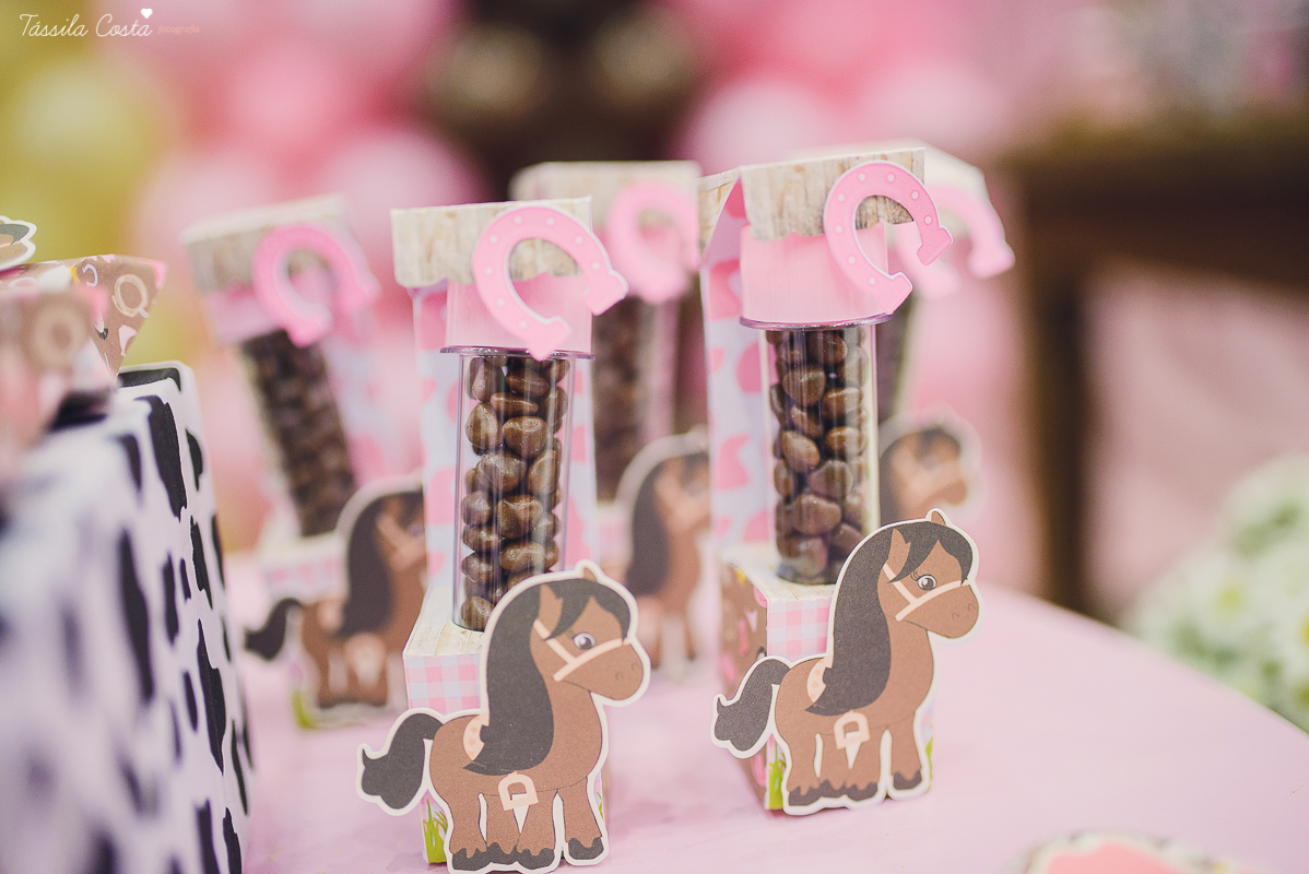 fotografo em vitoria, fotografo em vila velha, fotografia no espirito santo, fotografia infantil em vila velha, festa infantil, tassila costa, tassila costa fotografia, tassila costa fotografa, tassila foto, fotografia, vila velha, vitoria, vix, es, anive