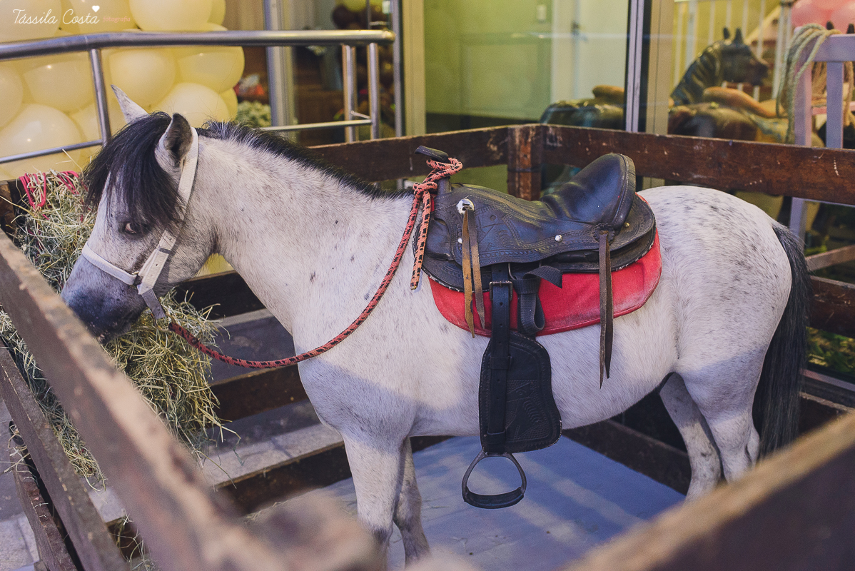 fotografo em vitoria, fotografo em vila velha, fotografia no espirito santo, fotografia infantil em vila velha, festa infantil, tassila costa, tassila costa fotografia, tassila costa fotografa, tassila foto, fotografia, vila velha, vitoria, vix, es, anive