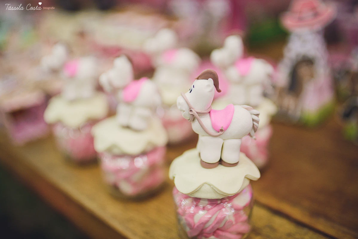 fotografo em vitoria, fotografo em vila velha, fotografia no espirito santo, fotografia infantil em vila velha, festa infantil, tassila costa, tassila costa fotografia, tassila costa fotografa, tassila foto, fotografia, vila velha, vitoria, vix, es, anive