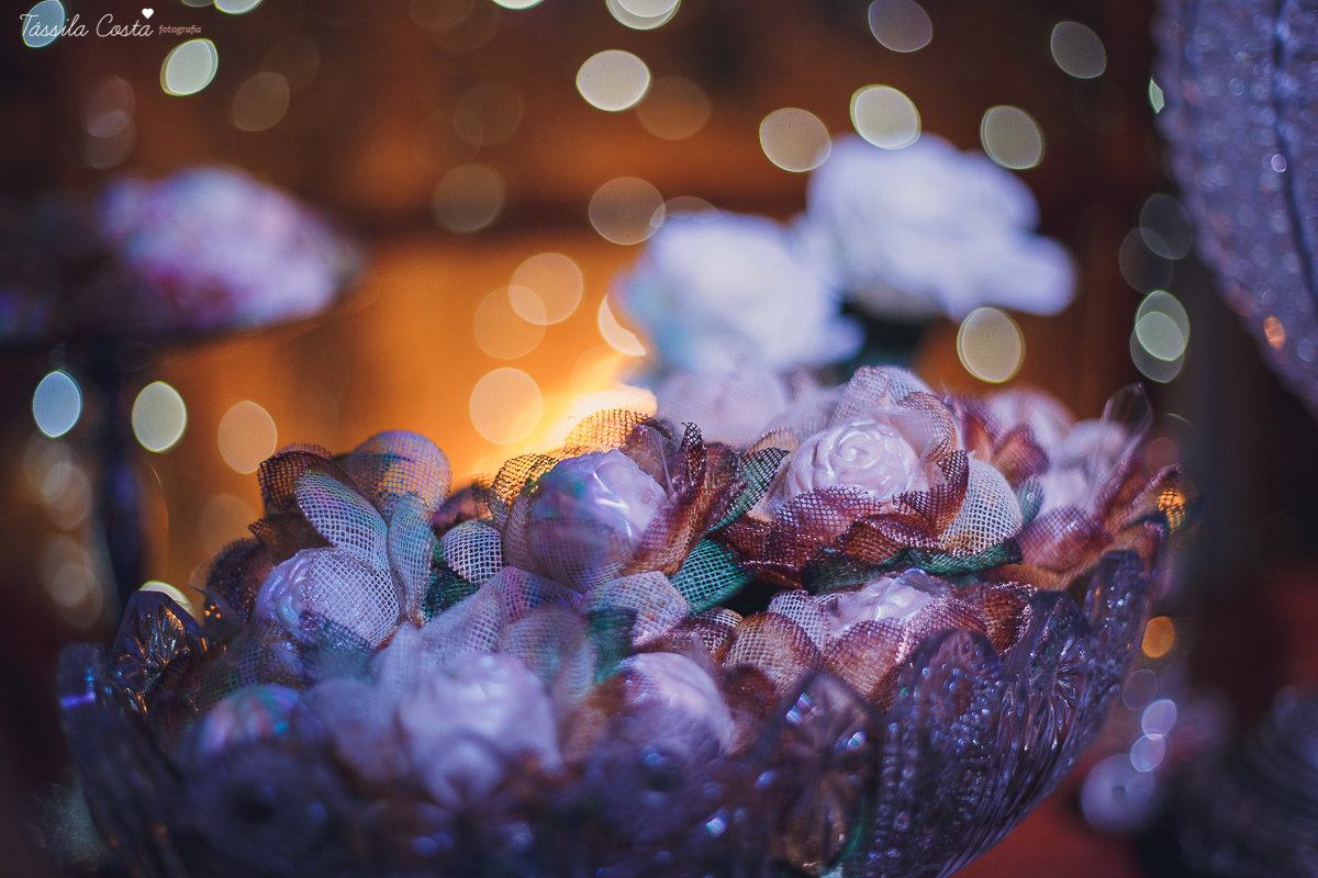 fotos de casamento realizado em Guarapari, litoral do Espírito Santo, sítio dos sonhos para fazer festa de casamento em Guarapari, noivos lindos e apaixonados, fotografia de casamento vitória es