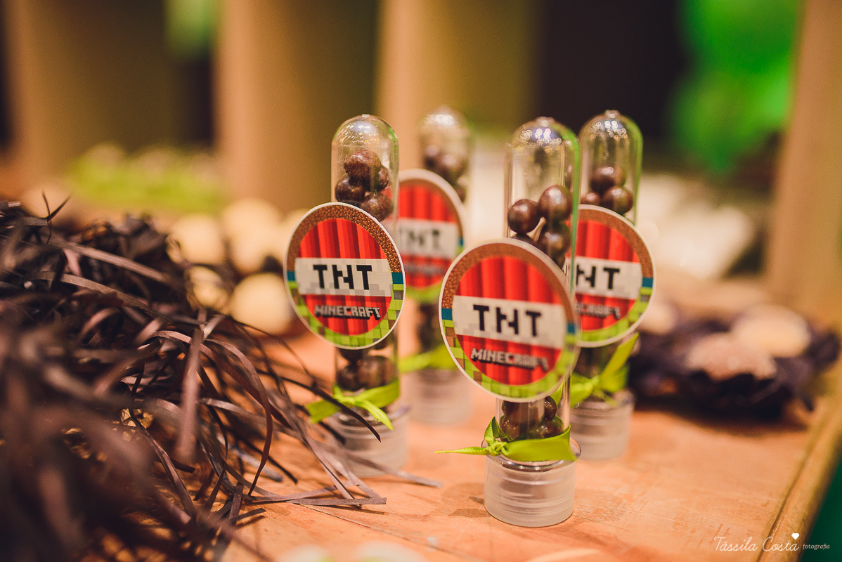 tassila costa, tassila costa fotografia, tassila costa fotografa, tassila foto, fotografia, vila velha, vitoria, vix, es, aniversario, aniversario infantil, festa infantil, festa de menino, 10 anos, festa, festa em vila velha, tema minicraft, minicraft, p