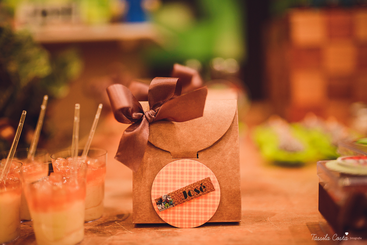 tassila costa, tassila costa fotografia, tassila costa fotografa, tassila foto, fotografia, vila velha, vitoria, vix, es, aniversario, aniversario infantil, festa infantil, festa de menino, 10 anos, festa, festa em vila velha, tema minicraft, minicraft, p