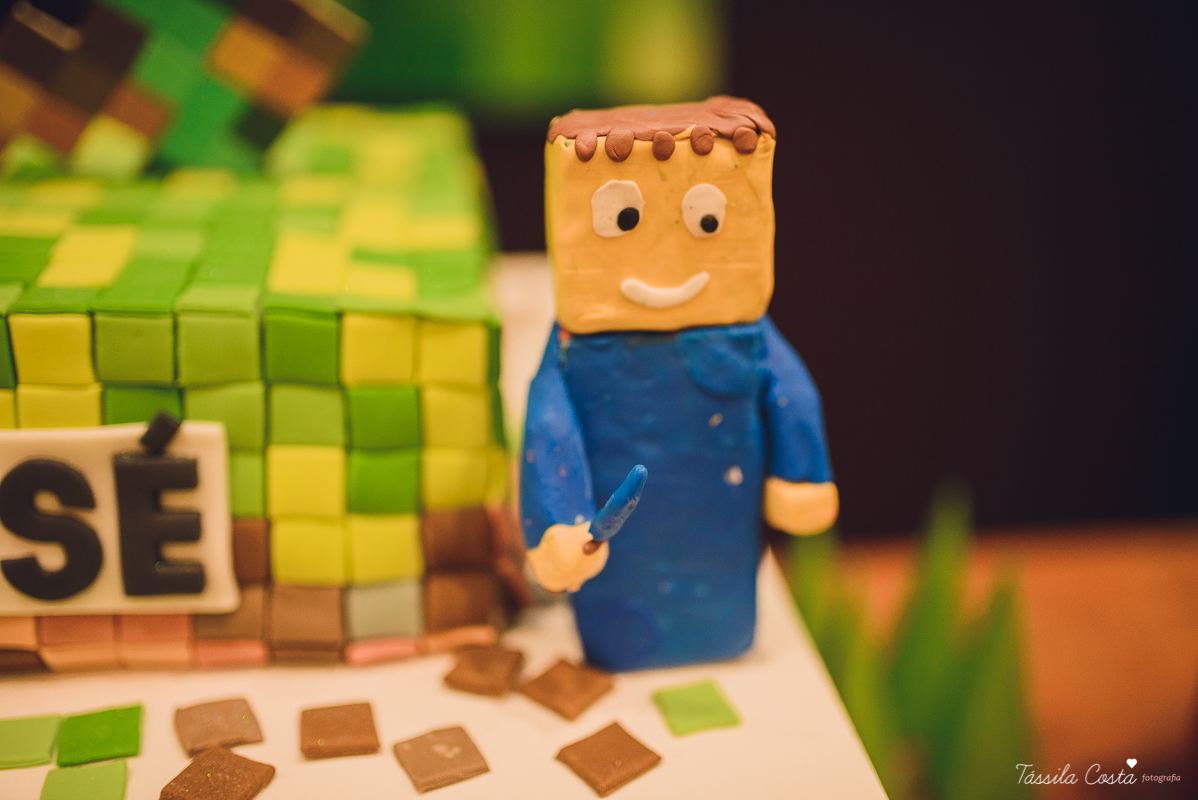 tassila costa, tassila costa fotografia, tassila costa fotografa, tassila foto, fotografia, vila velha, vitoria, vix, es, aniversario, aniversario infantil, festa infantil, festa de menino, 10 anos, festa, festa em vila velha, tema minicraft, minicraft, p