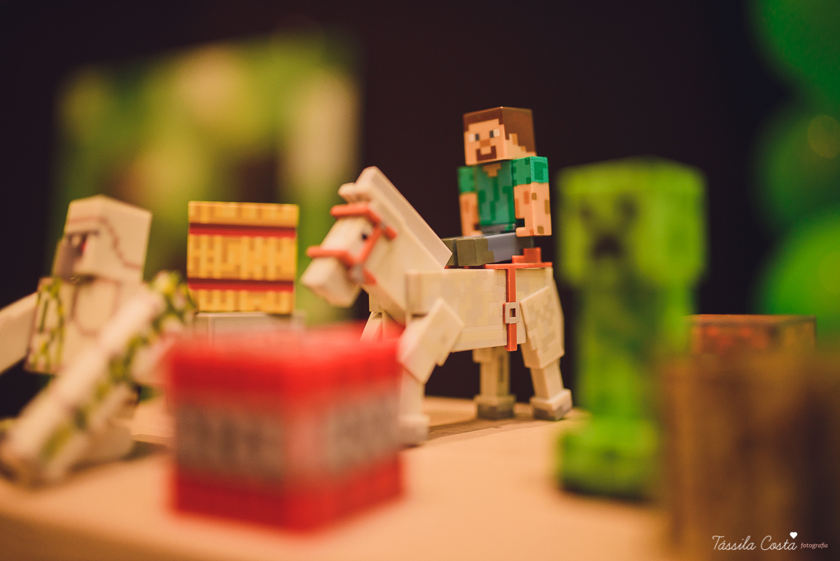 tassila costa, tassila costa fotografia, tassila costa fotografa, tassila foto, fotografia, vila velha, vitoria, vix, es, aniversario, aniversario infantil, festa infantil, festa de menino, 10 anos, festa, festa em vila velha, tema minicraft, minicraft, p