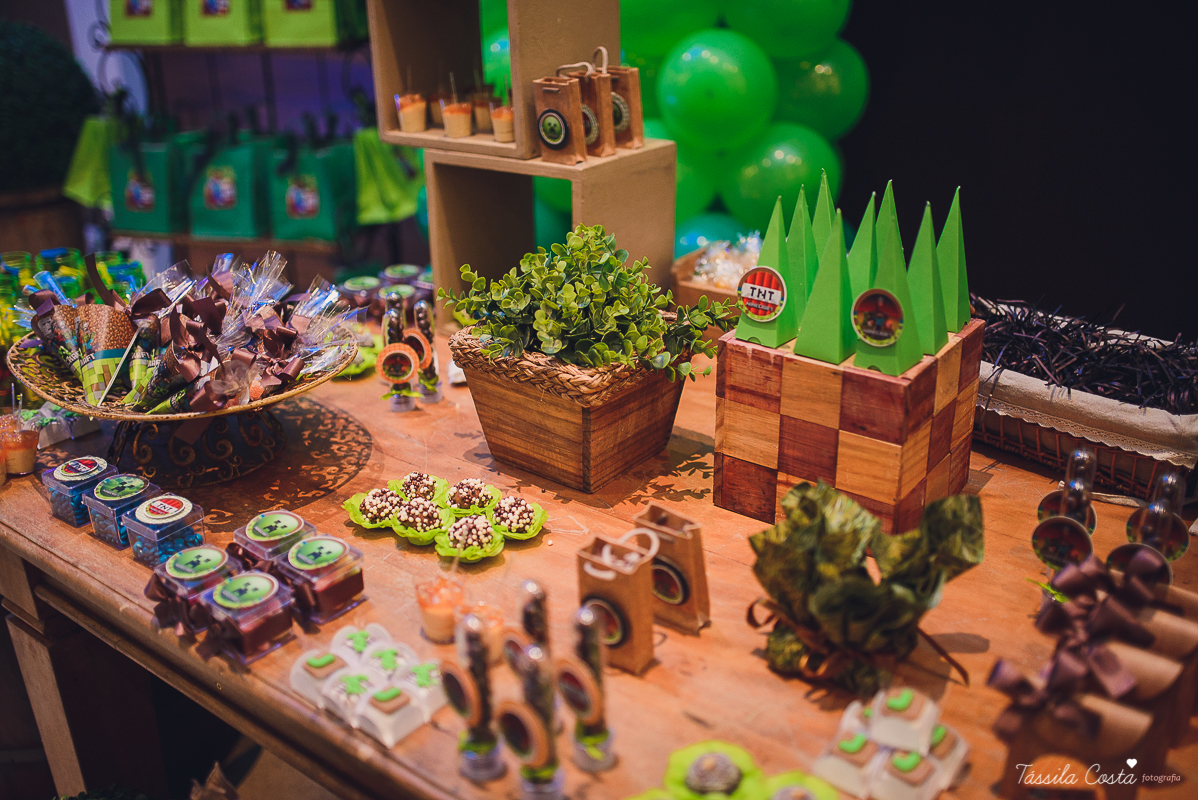 tassila costa, tassila costa fotografia, tassila costa fotografa, tassila foto, fotografia, vila velha, vitoria, vix, es, aniversario, aniversario infantil, festa infantil, festa de menino, 10 anos, festa, festa em vila velha, tema minicraft, minicraft, p