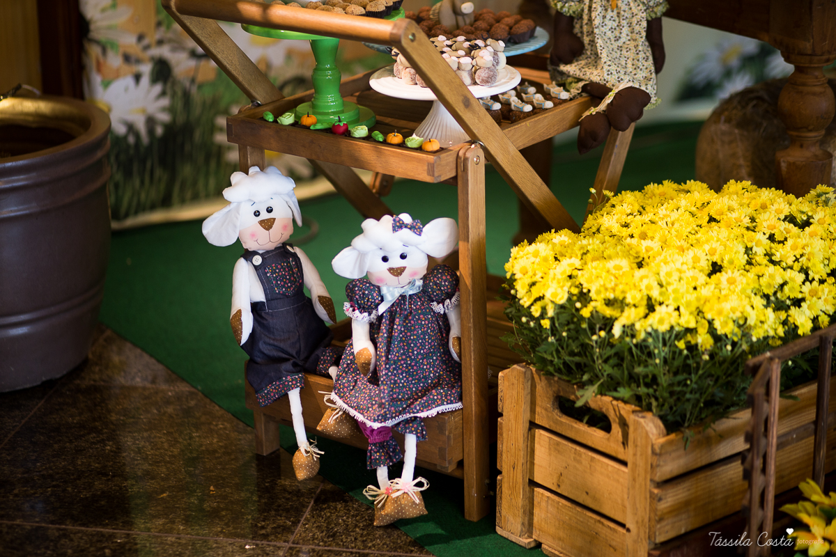 Festa linda para o Miguel, no Hotel Senac Ilha do Boi, 1 ano muito feliz, festa no tema fazendinha, decoração Ipê Amarelo by Leticia, mãe dentista Alice Sarcinelli