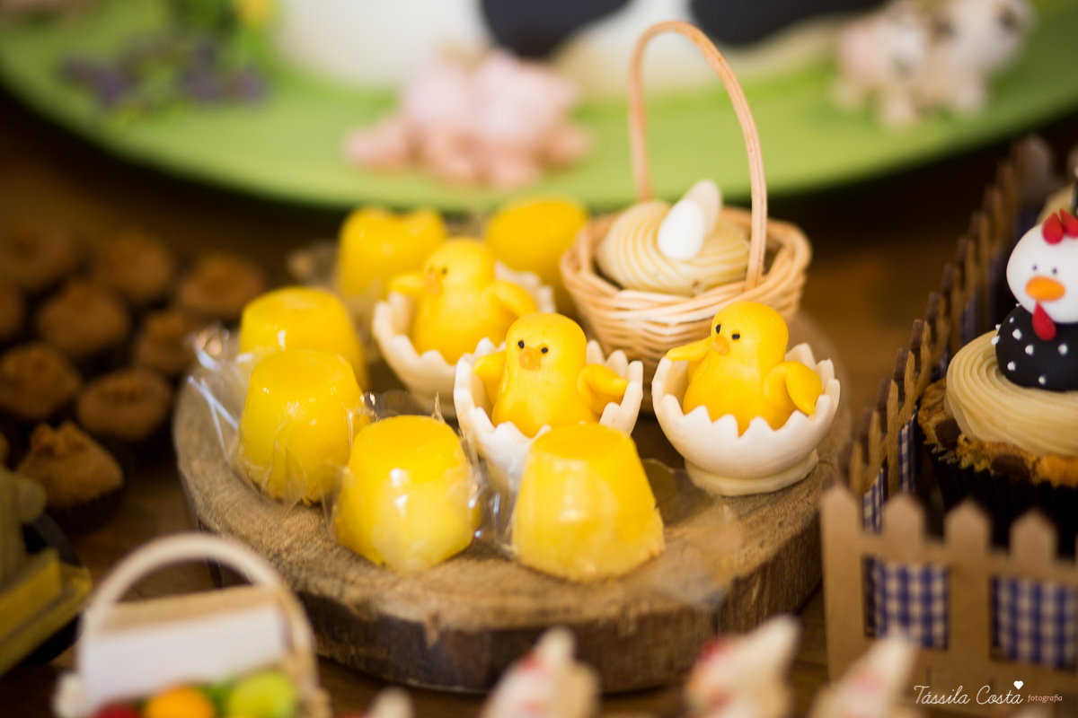 Festa linda para o Miguel, no Hotel Senac Ilha do Boi, 1 ano muito feliz, festa no tema fazendinha, decoração Ipê Amarelo by Leticia, mãe dentista Alice Sarcinelli