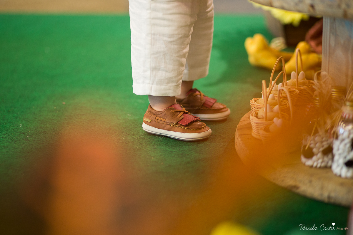 Festa linda para o Miguel, no Hotel Senac Ilha do Boi, 1 ano muito feliz, festa no tema fazendinha, decoração Ipê Amarelo by Leticia, mãe dentista Alice Sarcinelli