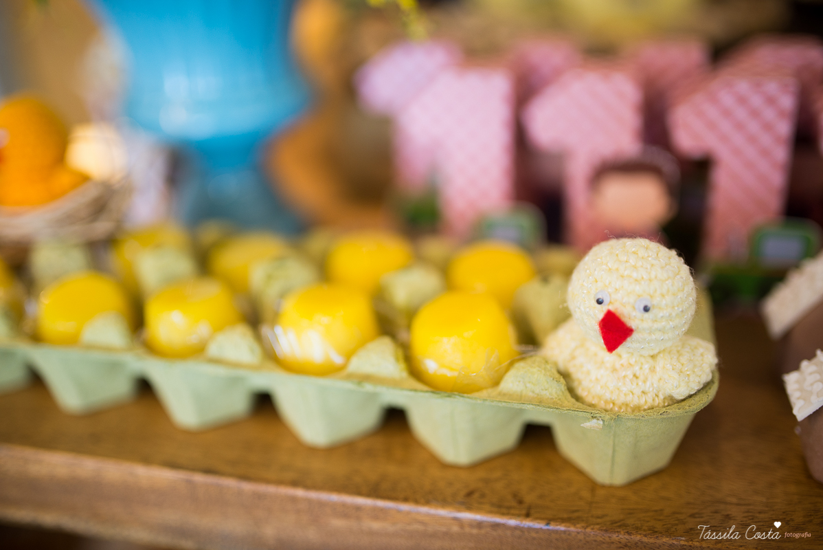 Festa linda para o Miguel, no Hotel Senac Ilha do Boi, 1 ano muito feliz, festa no tema fazendinha, decoração Ipê Amarelo by Leticia, mãe dentista Alice Sarcinelli