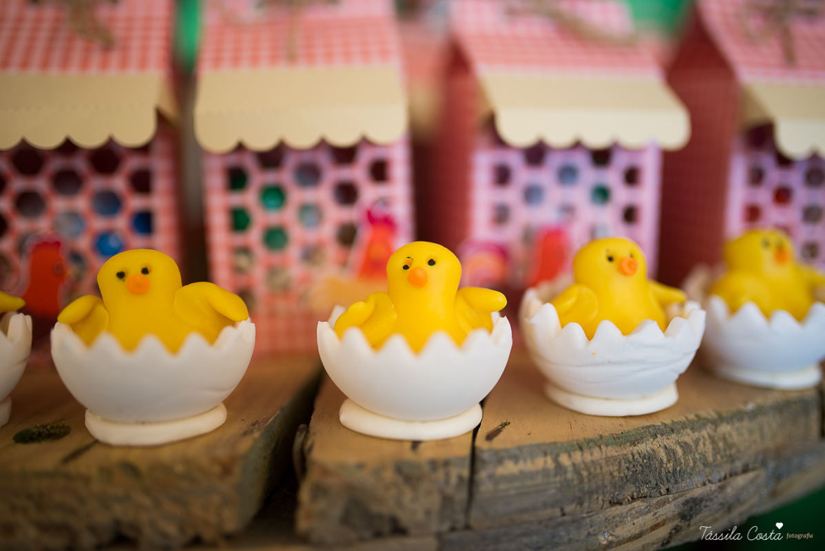 Festa linda para o Miguel, no Hotel Senac Ilha do Boi, 1 ano muito feliz, festa no tema fazendinha, decoração Ipê Amarelo by Leticia, mãe dentista Alice Sarcinelli