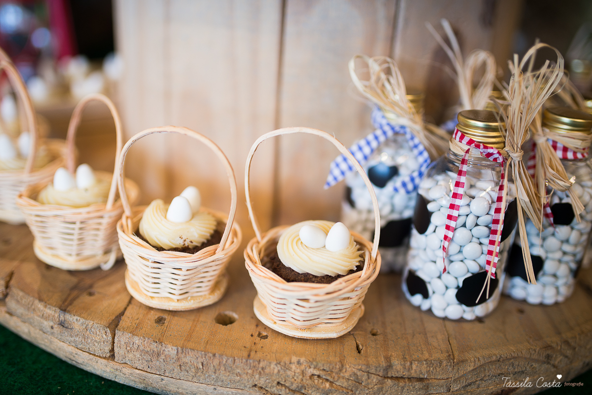 Festa linda para o Miguel, no Hotel Senac Ilha do Boi, 1 ano muito feliz, festa no tema fazendinha, decoração Ipê Amarelo by Leticia, mãe dentista Alice Sarcinelli