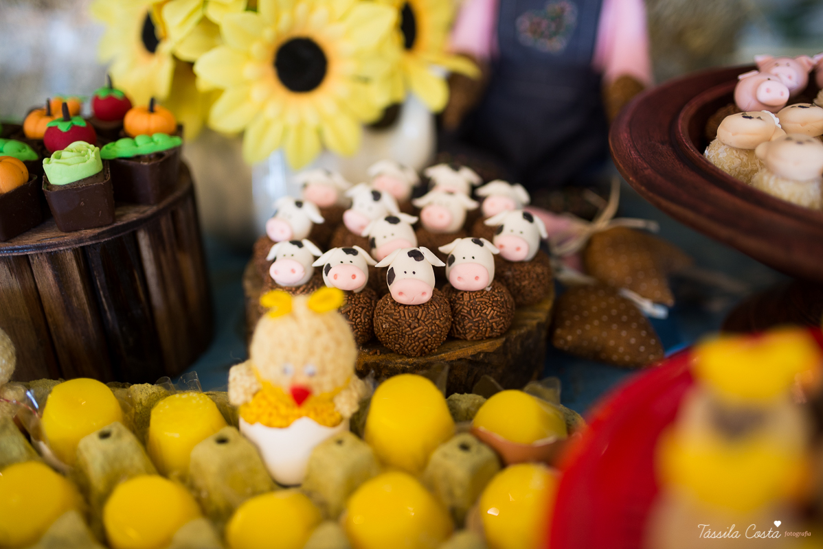 Festa linda para o Miguel, no Hotel Senac Ilha do Boi, 1 ano muito feliz, festa no tema fazendinha, decoração Ipê Amarelo by Leticia, mãe dentista Alice Sarcinelli