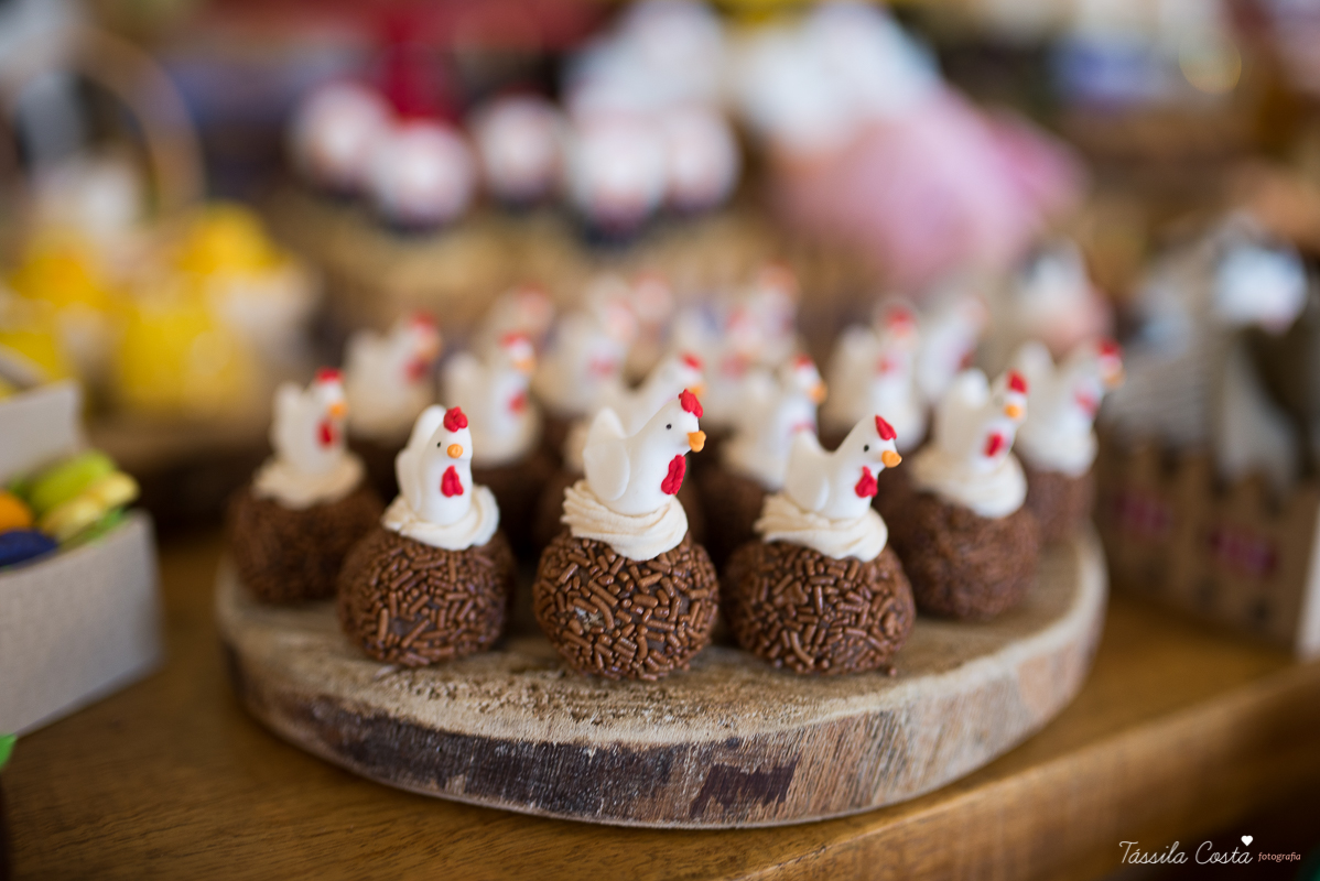 Festa linda para o Miguel, no Hotel Senac Ilha do Boi, 1 ano muito feliz, festa no tema fazendinha, decoração Ipê Amarelo by Leticia, mãe dentista Alice Sarcinelli