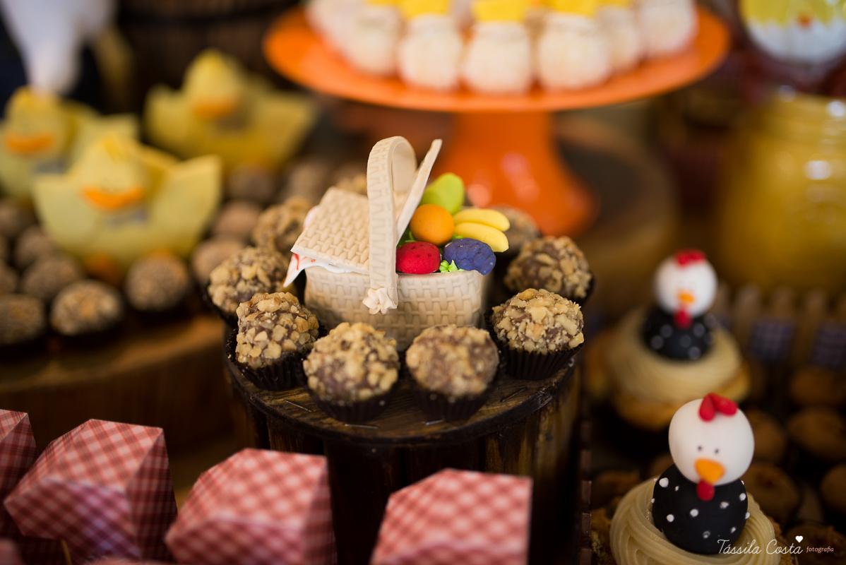 Festa linda para o Miguel, no Hotel Senac Ilha do Boi, 1 ano muito feliz, festa no tema fazendinha, decoração Ipê Amarelo by Leticia, mãe dentista Alice Sarcinelli