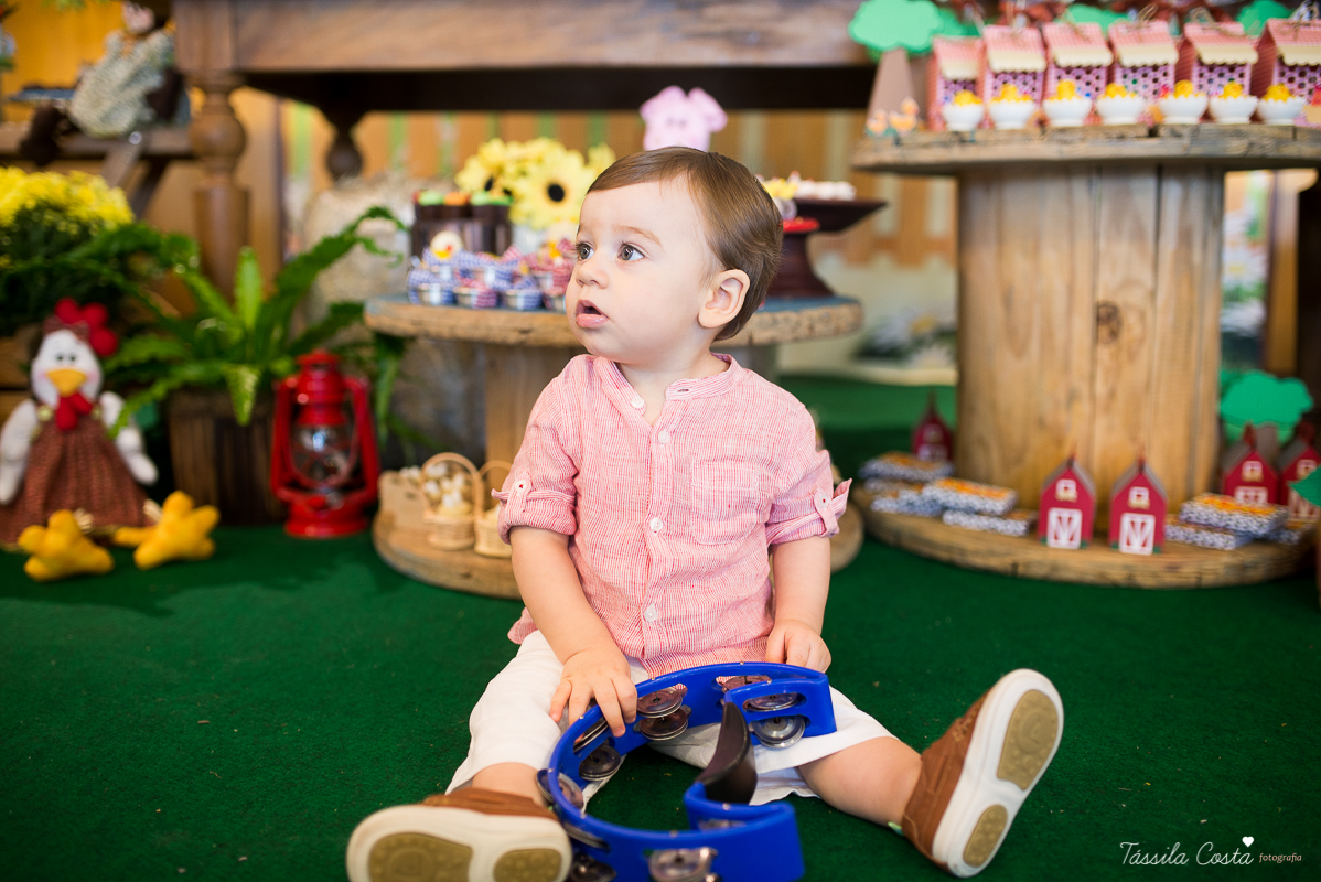 Festa linda para o Miguel, no Hotel Senac Ilha do Boi, 1 ano muito feliz, festa no tema fazendinha, decoração Ipê Amarelo by Leticia, mãe dentista Alice Sarcinelli