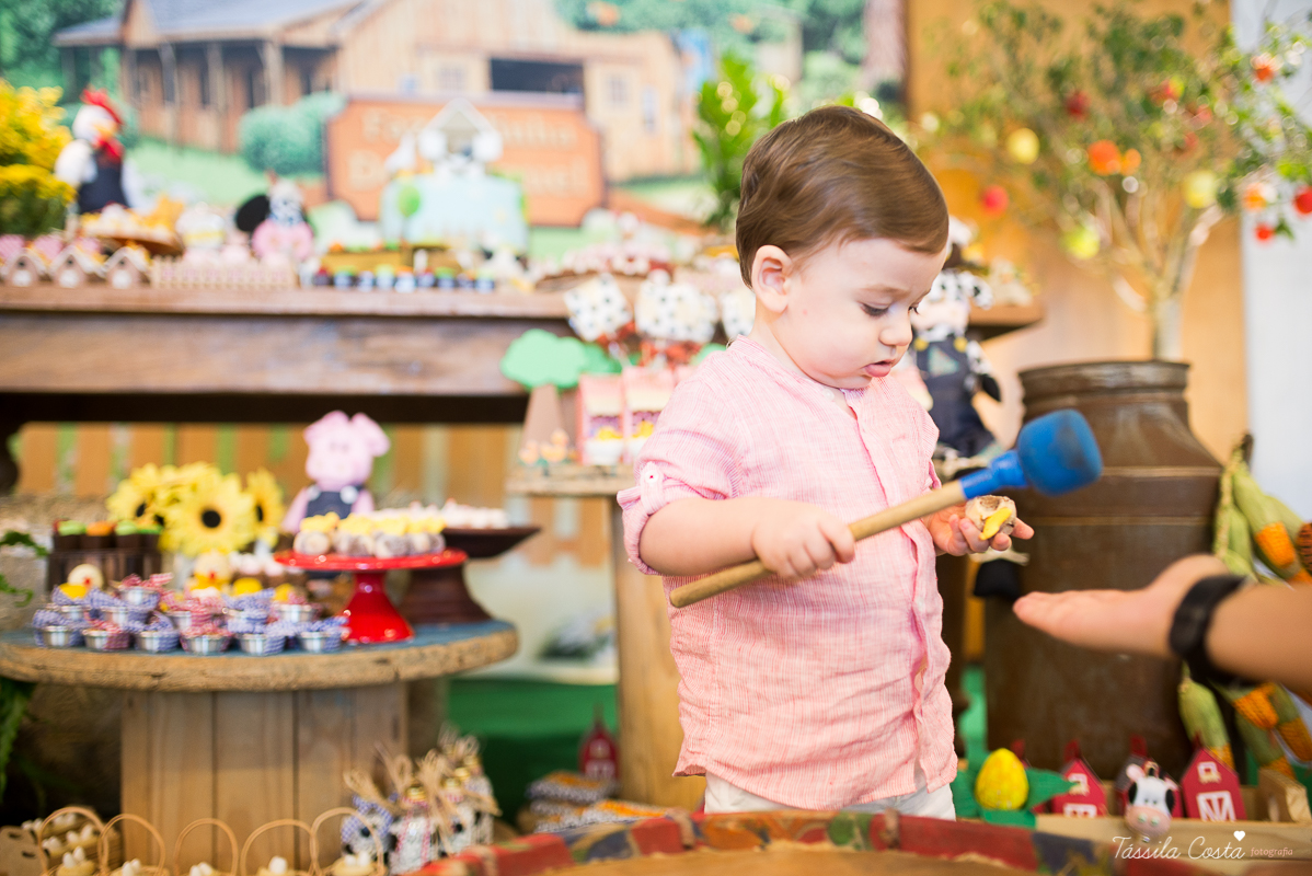Festa linda para o Miguel, no Hotel Senac Ilha do Boi, 1 ano muito feliz, festa no tema fazendinha, decoração Ipê Amarelo by Leticia, mãe dentista Alice Sarcinelli