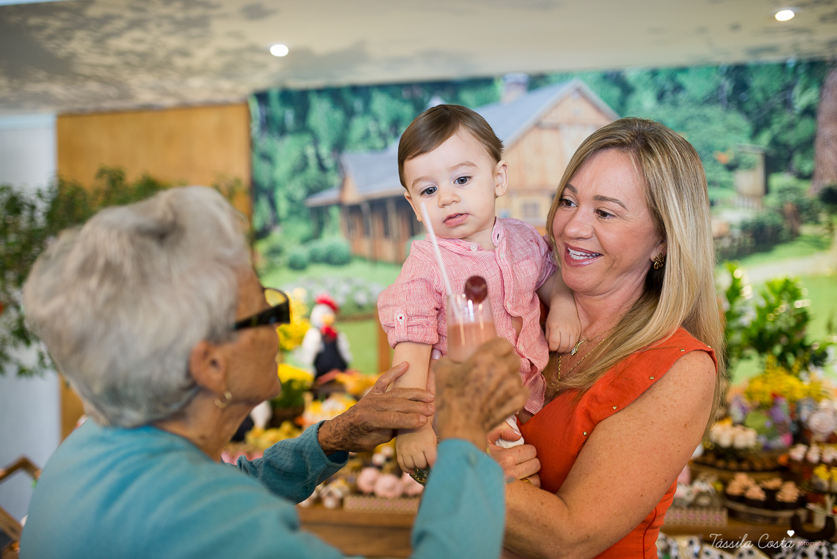 Festa linda para o Miguel, no Hotel Senac Ilha do Boi, 1 ano muito feliz, festa no tema fazendinha, decoração Ipê Amarelo by Leticia, mãe dentista Alice Sarcinelli