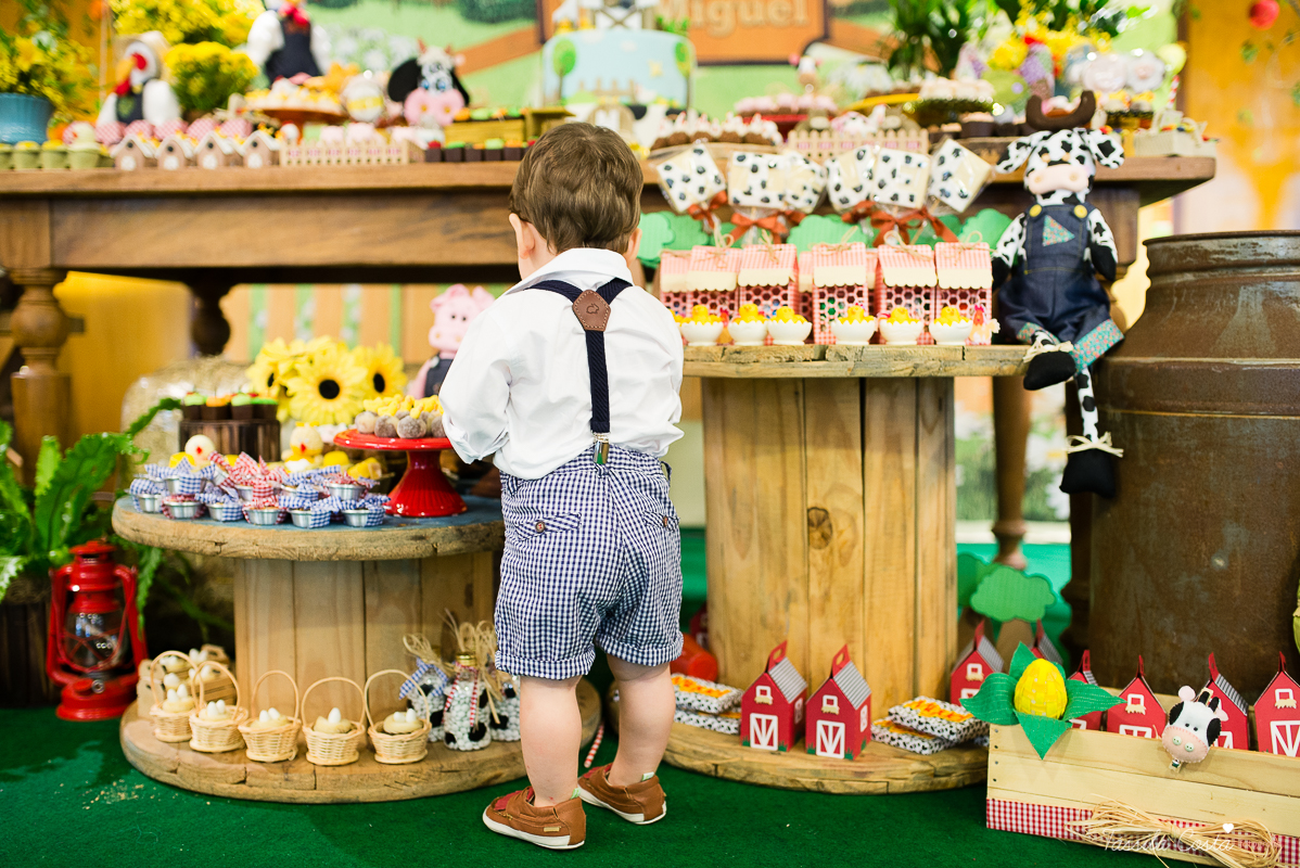 Festa linda para o Miguel, no Hotel Senac Ilha do Boi, 1 ano muito feliz, festa no tema fazendinha, decoração Ipê Amarelo by Leticia, mãe dentista Alice Sarcinelli
