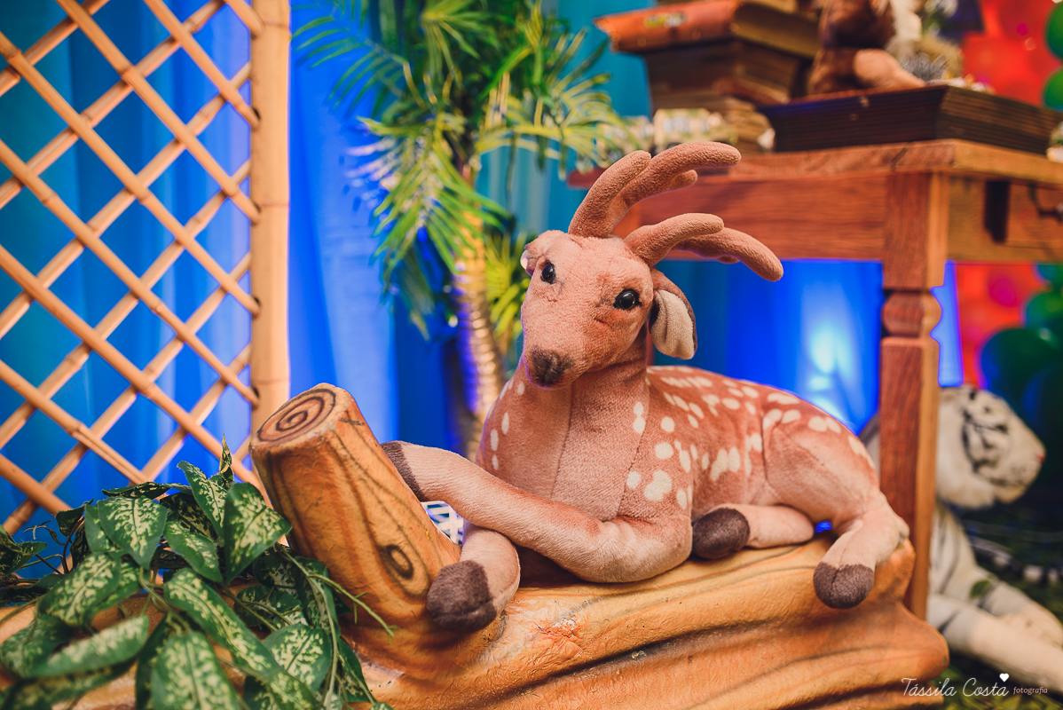 tassila costa, tassila costa fotografia, tassila costa fotografa, tassila foto, fotografia, vila velha, vitoria, vix, es, aniversario, aniversario infantil, festa infantil, festa menino, 01 ano, festa, festa em vila velha, tema safari, safari, parabens, a