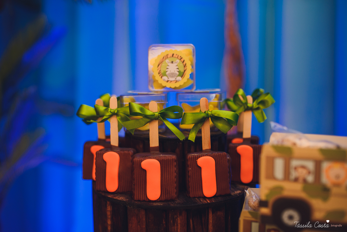 tassila costa, tassila costa fotografia, tassila costa fotografa, tassila foto, fotografia, vila velha, vitoria, vix, es, aniversario, aniversario infantil, festa infantil, festa menino, 01 ano, festa, festa em vila velha, tema safari, safari, parabens, a