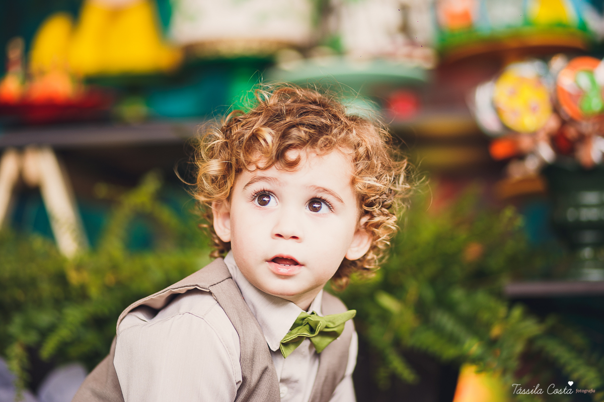 festa de menino, no tema safari, decoração infantil com luzes, miguel 2 anos, filho da cerimonialista daieny fasolo, 2 anos, festa safari, tássila costa