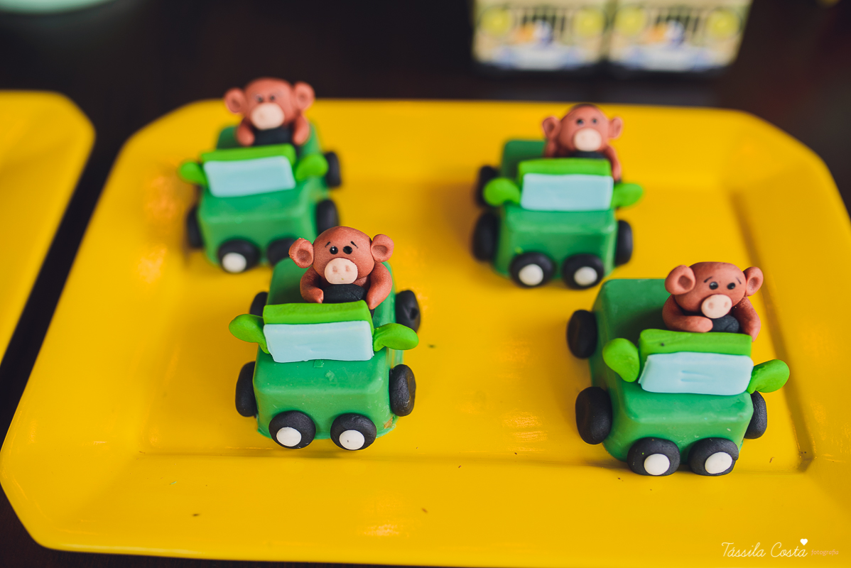 festa de menino, no tema safari, decoração infantil com luzes, miguel 2 anos, filho da cerimonialista daieny fasolo, 2 anos, festa safari, tássila costa