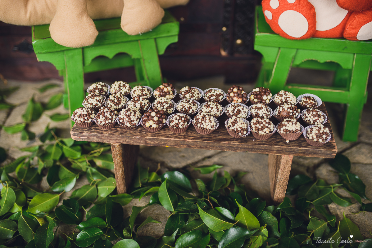 festa de menino, no tema safari, decoração infantil com luzes, miguel 2 anos, filho da cerimonialista daieny fasolo, 2 anos, festa safari, tássila costa