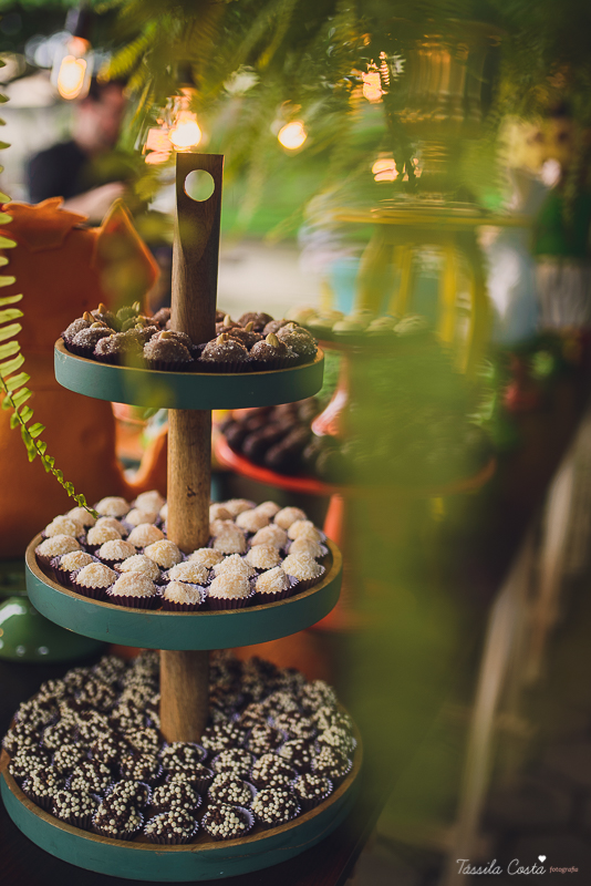 festa de menino, no tema safari, decoração infantil com luzes, miguel 2 anos, filho da cerimonialista daieny fasolo, 2 anos, festa safari, tássila costa