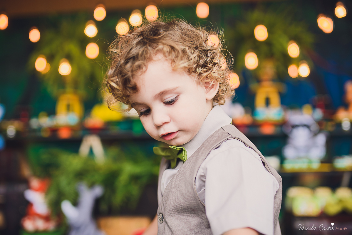 festa de menino, no tema safari, decoração infantil com luzes, miguel 2 anos, filho da cerimonialista daieny fasolo, 2 anos, festa safari, tássila costa
