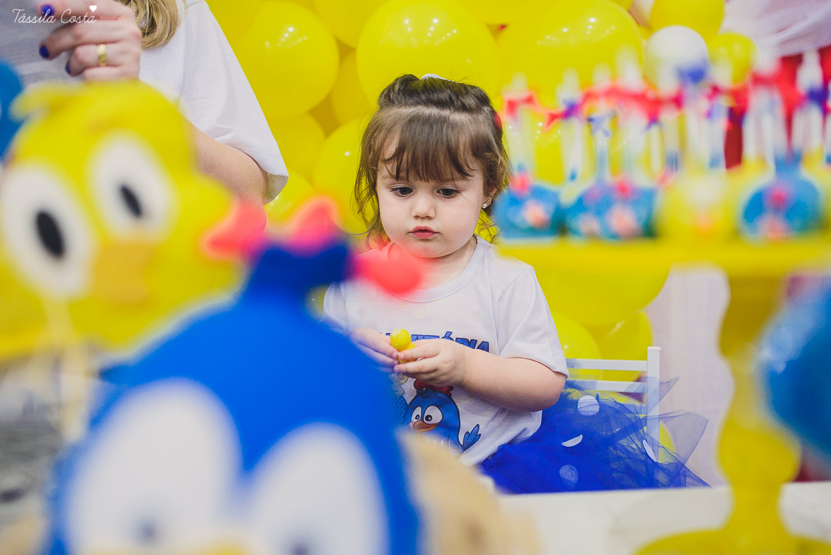 fotografo em vila velha, fotografo em vitoria, fotografo de festa infantil em vitoria es, tassila costa, tassila costa fotografia, tassila costa fotografa, tassila foto, fotografia, vila velha, vitoria, vix, es, aniversario, aniversario infantil, festa in