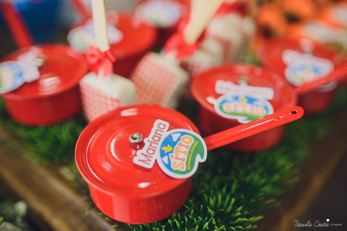 fotografo em vila velha, fotografo em vitoria, fotografo de festa infantil em vitoria es, tassila costa, tassila costa fotografia, tassila costa fotografa, tassila foto, fotografia, vila velha, vitoria, vix, es, aniversario, aniversario infantil, festa in