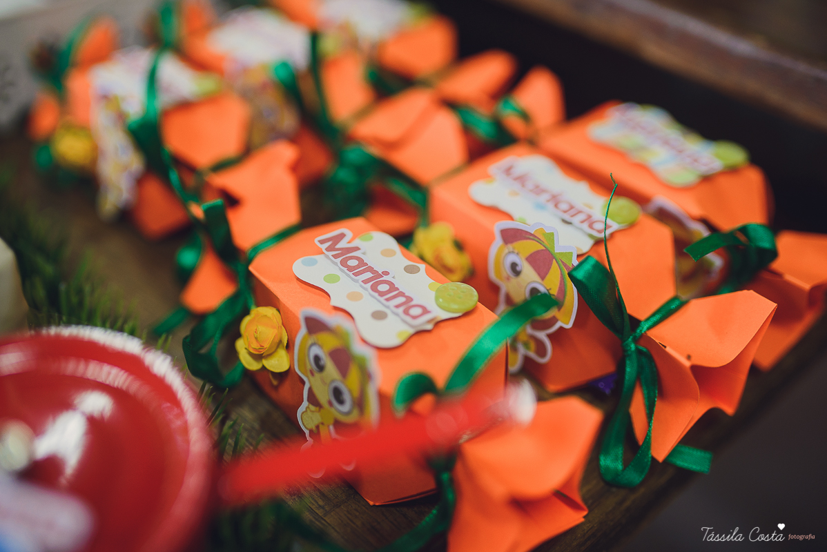 fotografo em vila velha, fotografo em vitoria, fotografo de festa infantil em vitoria es, tassila costa, tassila costa fotografia, tassila costa fotografa, tassila foto, fotografia, vila velha, vitoria, vix, es, aniversario, aniversario infantil, festa in