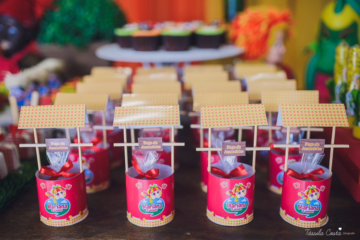 fotografo em vila velha, fotografo em vitoria, fotografo de festa infantil em vitoria es, tassila costa, tassila costa fotografia, tassila costa fotografa, tassila foto, fotografia, vila velha, vitoria, vix, es, aniversario, aniversario infantil, festa in