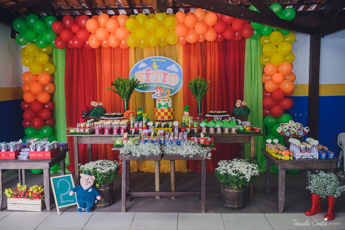 fotografo em vila velha, fotografo em vitoria, fotografo de festa infantil em vitoria es, tassila costa, tassila costa fotografia, tassila costa fotografa, tassila foto, fotografia, vila velha, vitoria, vix, es, aniversario, aniversario infantil, festa in