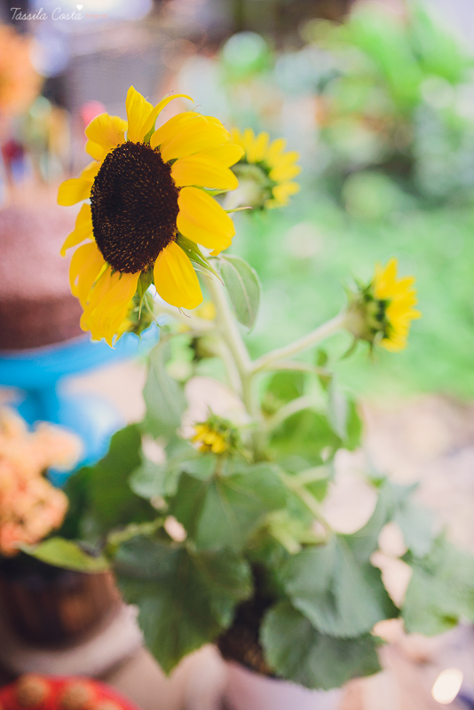 festa infantil na casa da vó, no bairro Ilha do Frade, família Tommasi, Loratórios Tommasi, Vitória ES, decoração Ipê Amarelo Festas, Filmagem Mano Birck