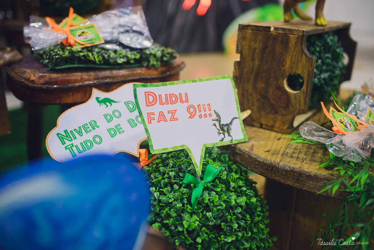 tassila costa, tassila costa fotografia, tassila costa fotografa, tassila foto, fotografia, vila velha, vitoria, vix, es, aniversario, aniversario infantil, festa infantil, festa de menino, 09 anos, festa, festa em vila velha, tema dinossauros, festa no s