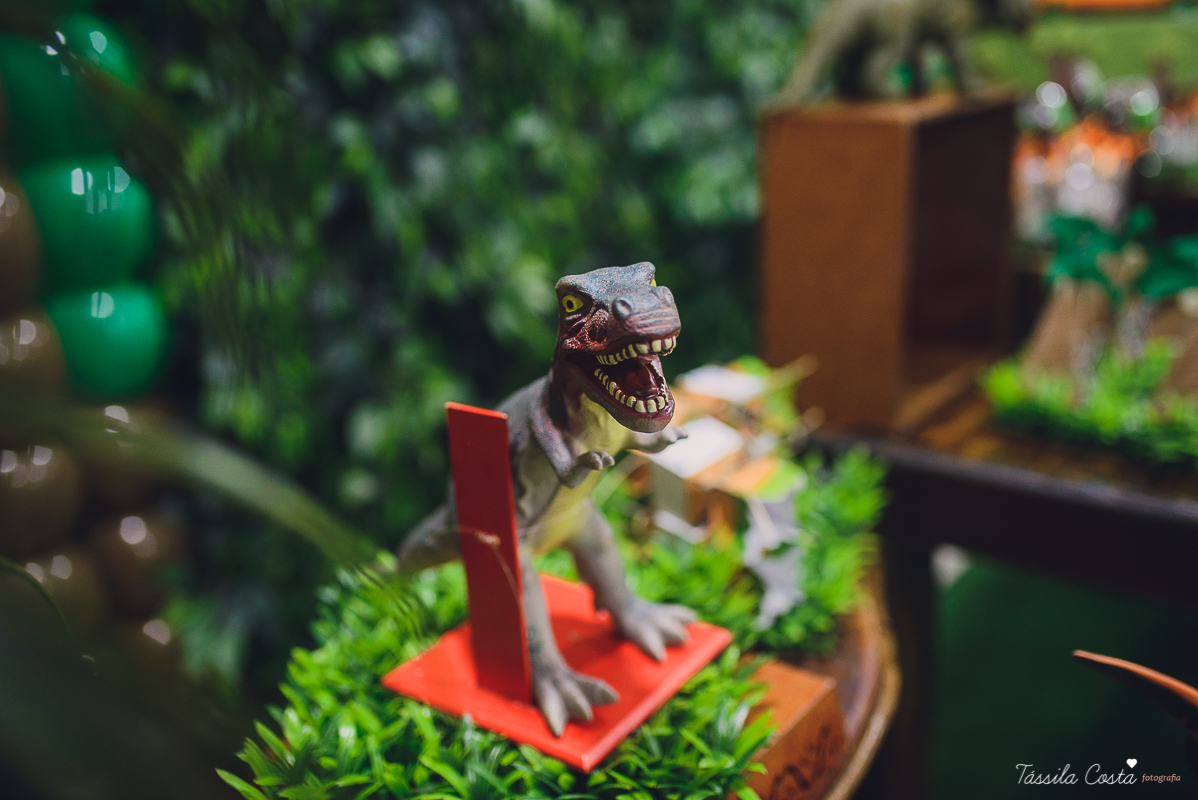 tassila costa, tassila costa fotografia, tassila costa fotografa, tassila foto, fotografia, vila velha, vitoria, vix, es, aniversario, aniversario infantil, festa infantil, festa de menino, 09 anos, festa, festa em vila velha, tema dinossauros, festa no s