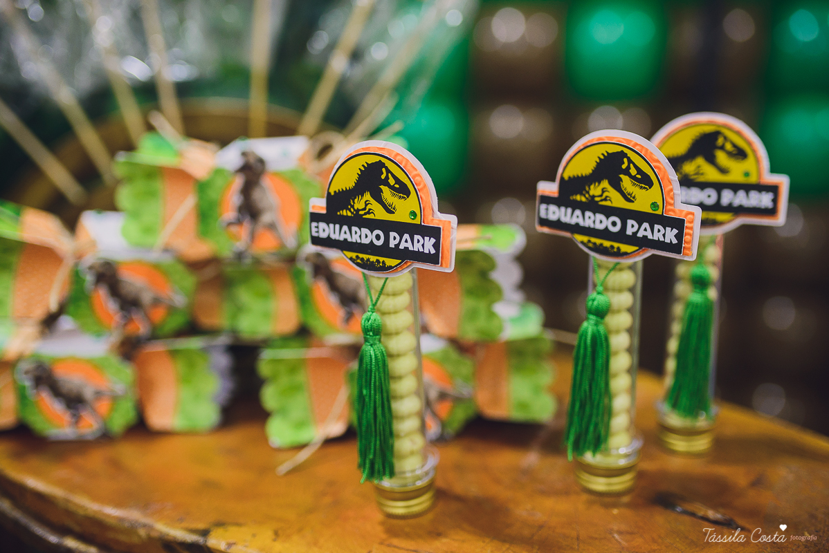 tassila costa, tassila costa fotografia, tassila costa fotografa, tassila foto, fotografia, vila velha, vitoria, vix, es, aniversario, aniversario infantil, festa infantil, festa de menino, 09 anos, festa, festa em vila velha, tema dinossauros, festa no s